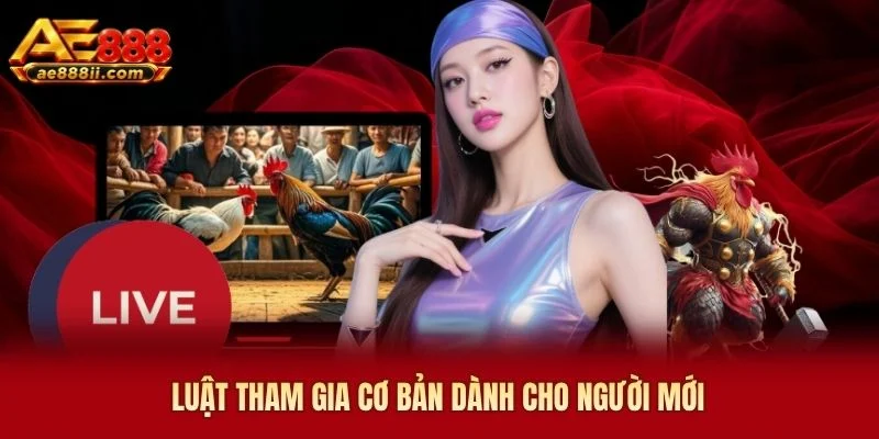 Luật tham gia cơ bản dành cho người mới