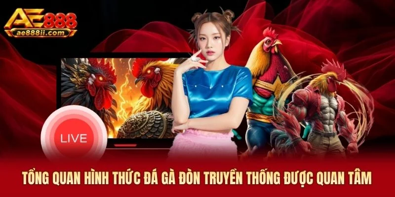 Tổng quan hình thức đá gà đòn truyền thống được quan tâm